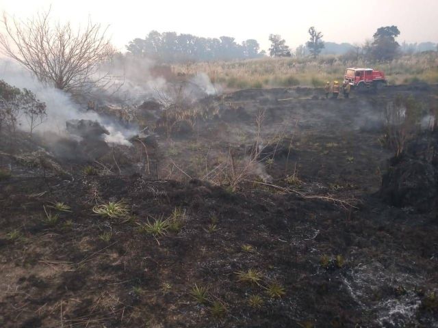 Bomberos voluntarios de Mercedes apagaron incendio en la Reserva del Arroyo Balta