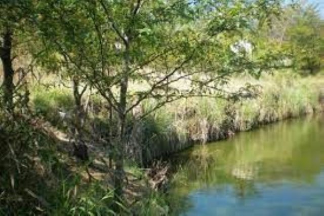 Este fin de semana se realizará la “visita guiada natural y musical” en el arroyo Balta