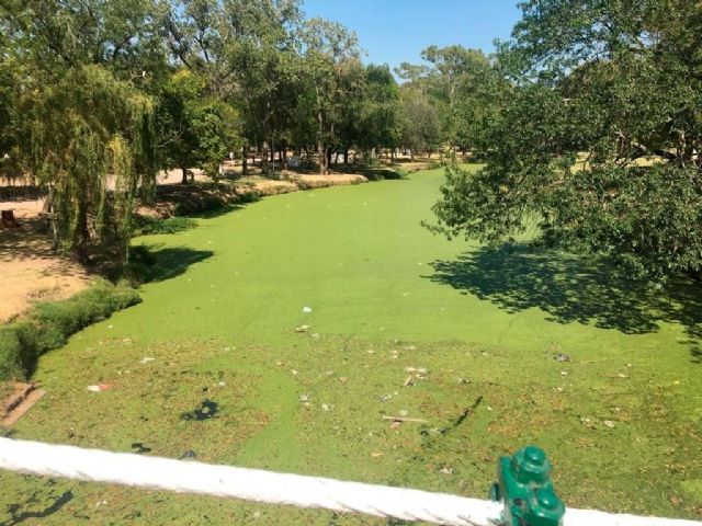 Preocupación de los vecinos por el cierre de compuertas del río Luján: seco río abajo, verde río arriba