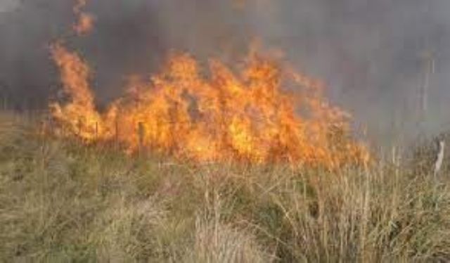 La salida de bomberos fue por un incendio de pastizales en Agote