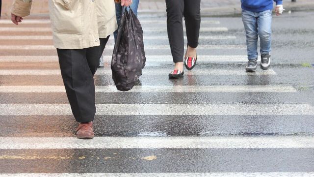 Conmemoración del Día de la Seguridad Peatonal: promoviendo la conciencia vial