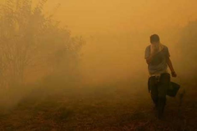 INCENDIOS DE PASTOS NATURALES