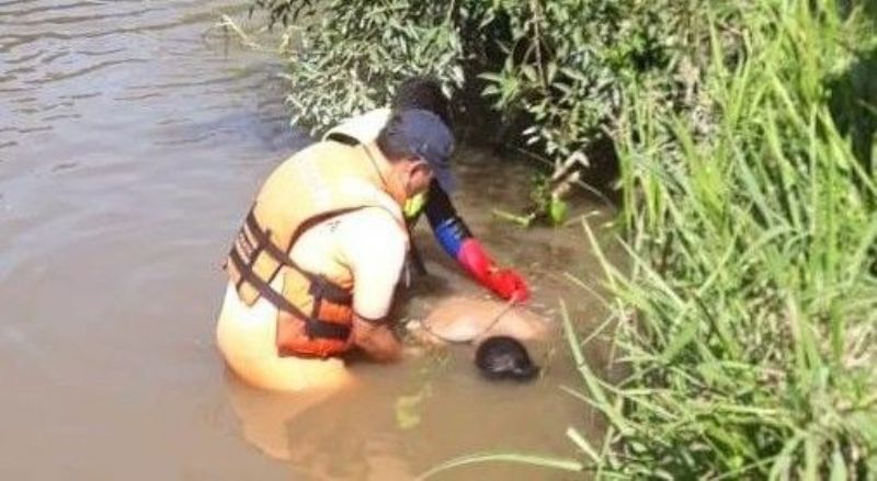 Aparece adolescente ahogado en el Río Luján