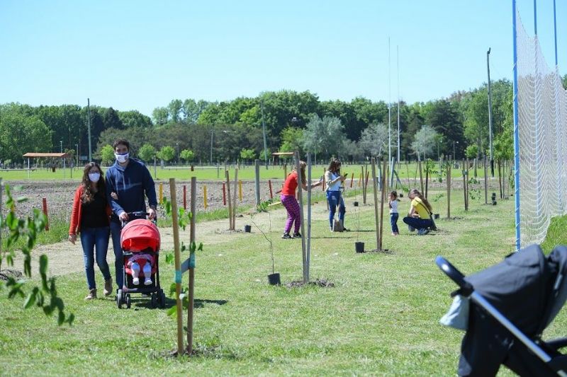 Continúa creciendo el “Bosque de los Mil Días”