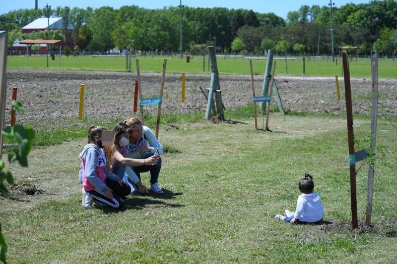 Continúa creciendo el “Bosque de los Mil Días”