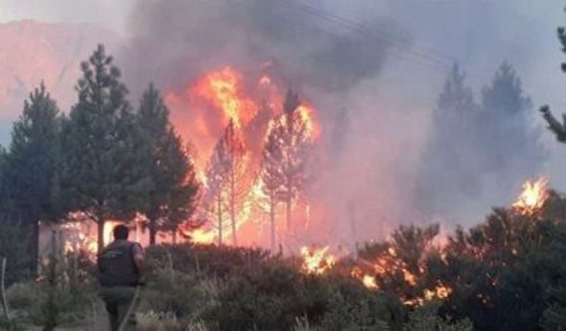 El incendio en El Bolsón fue provocado por 6 turistas que hicieron un asado