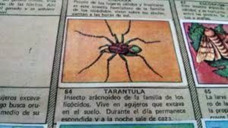 Son más difíciles de encontrar que la Tarántula de los años 80