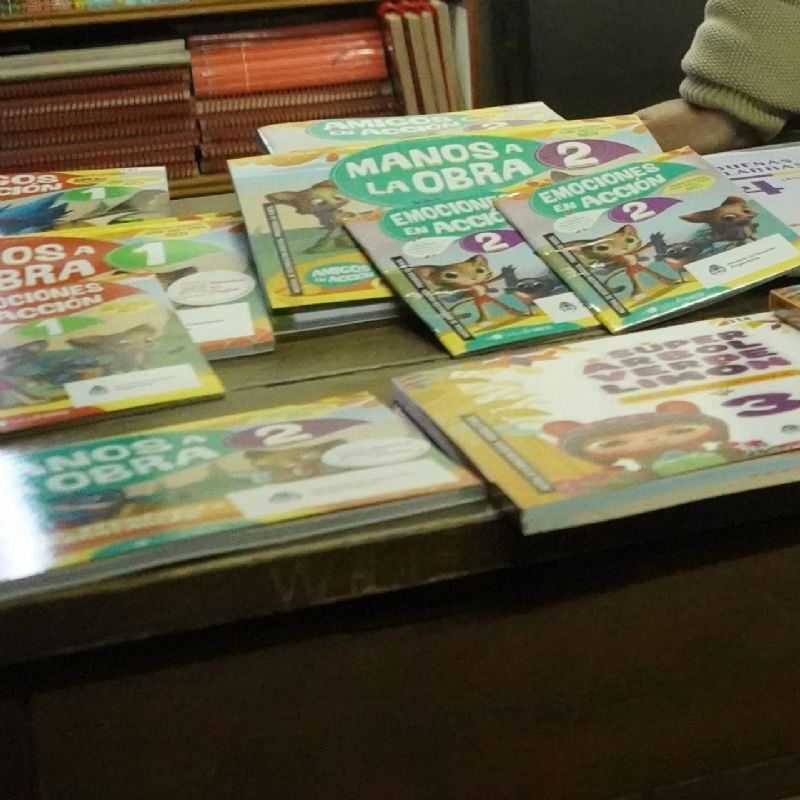 Programa Libros para Aprender: comenzaron a entregar libros para los alumnos de las escuelas primarias de Mercedes