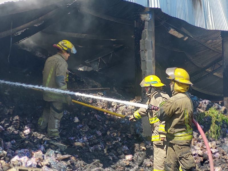 Voraz incendio en Luján: dotaciones de Mercedes acudieron a ayudar a sofocar el fuego