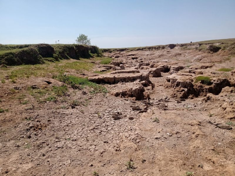 Fuerte sequía en la región: el arroyo Los Leones y parte del río Luján sin  agua