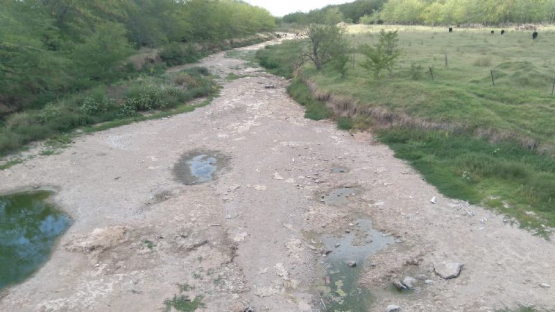 Fuerte sequía en la región: el arroyo Los Leones y parte del río Luján sin  agua