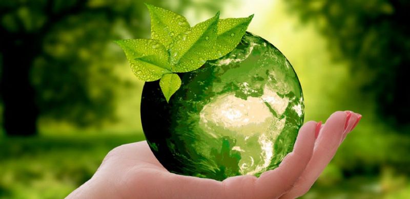 Día Mundial del Medio Ambiente: Una llamada urgente a la acción para preservar nuestro planeta