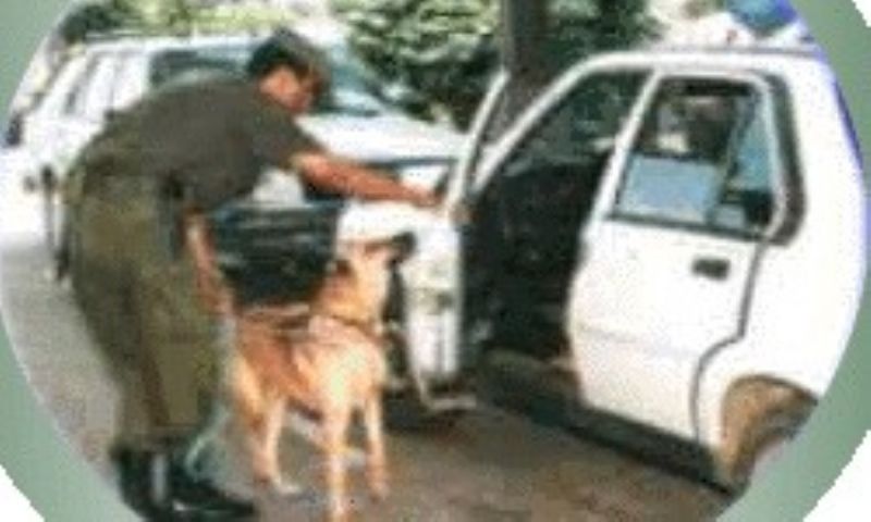 UN GENDARME DESAPARECIDO Y DESASTRE NATURAL EN RIO NEGRO