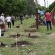 Jornada Solidaria para reconstruir puestos de La Trocha