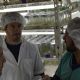 Ustarroz recorrió el Vivero Biotecnológico que avanza en su producción vegetal