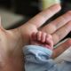 Un bebé de meses falleció por coronavirus en Estados Unidos