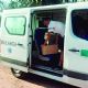 Insólito: detuvieron una ambulancia que transportaba cajas de fernet y gaseosa