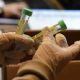 Rusia asegura que en dos semanas contará con la vacuna para el coronavirus