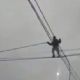 Derecho al Cirque du Soleil: ladrón equilibrista trepó diez metros para robar cables