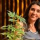 Cannabis medicinal: “La planta ya no será vista como un demonio”