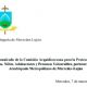 Caso Cuchietti: el arzobispado emitió un comunicado