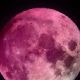 Superluna rosa en Escorpio de abril: la influencia en todos los signos