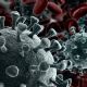 Coronavirus: la inmunidad podría durar meses o incluso años tras una primera infección