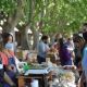 Fiesta en La Trocha con el Mercado Sustentable 