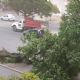 El temporal provocó la caída de árboles y voladura de techos en San Luis