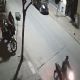 El video que muestra como los ladrones de motocicletas actúan con total impunidad en la ciudad