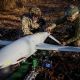 Ucrania ataca Moscú con drones. Rusia afirma haber derribado todas las aeronaves