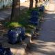 Cuestionan el uso de bolsas para hojas secas y proponen opciones sustentables