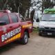 Un hombre murió al ser alcanzado por un árbol durante un desmonte