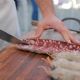 El clima acompañará a la 50° Fiesta Nacional del Salame Quintero en Mercedes