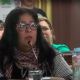 Exigen en el HCD que se cumpla la prohibición de pirotecnia sonora y piden sanciones ejemplares a los responsables