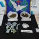 Un allanamiento en Gowland terminó con droga secuestrada y un prófugo detenido