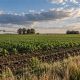 La CGT regional cuestionó la derogación de la Ley de Tierras: qué cambió tras el fallo de la Corte