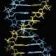 Genes suicidas contra el cáncer