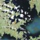Polémica en Gran Bretaña por nombres de las Islas Malvinas en Google Maps